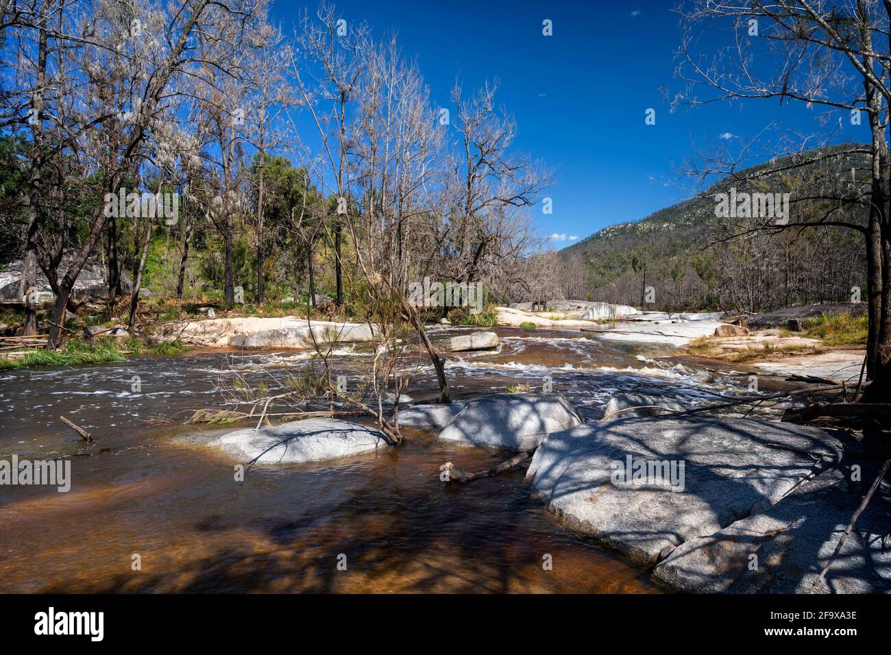 Kaskaden, die nach den jüngsten Regenfällen laufen, Mann River Nature Reserve, Old Grafton Road, NSW Australia Stockfoto