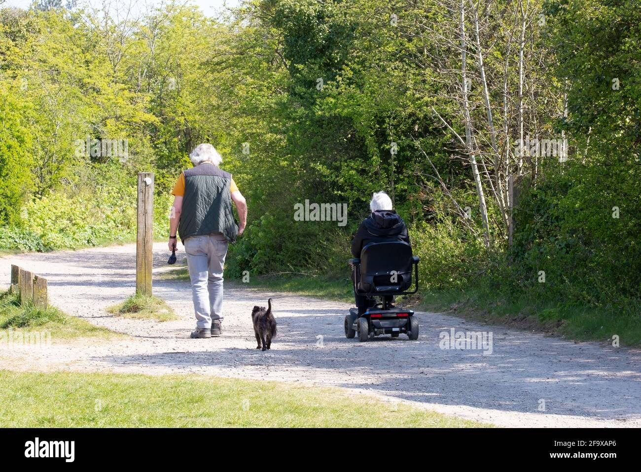 Ein Paar mittleren Alters auf dem Land, das mit dem Hund unterwegs ist Mit der Dame, die einen Mobilitätsroller benutzt Stockfoto