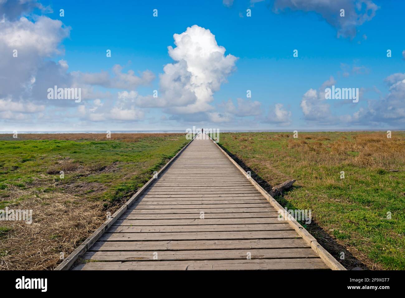 Ein alter hölzerner Steg, der von Feuchtgebieten umgeben ist und zu dem er hinausragt Der Horizont eine einsame Figur, die auf den blickt Bildung großer Kumuluswolken Stockfoto