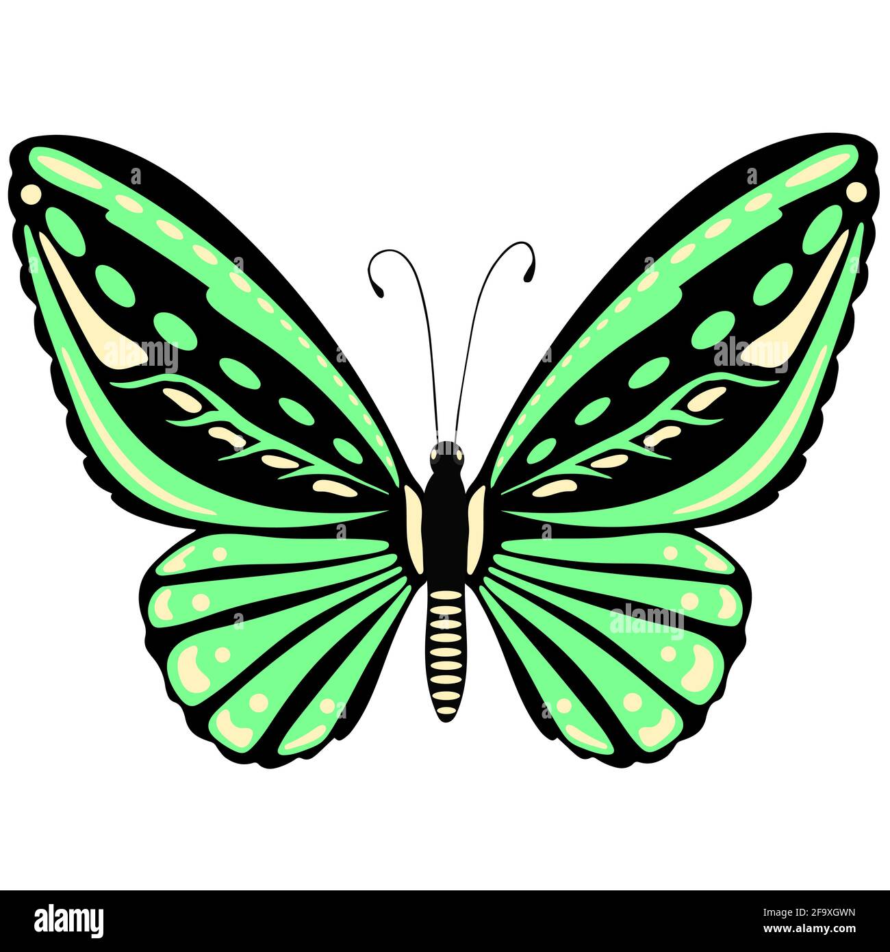 Leuchtend grüner Schmetterling Nahaufnahme. Ein schönes Insekt mit bunten Flügeln. Vektor.isoliertes Objekt. Freihandzeichnung. Stock Vektor
