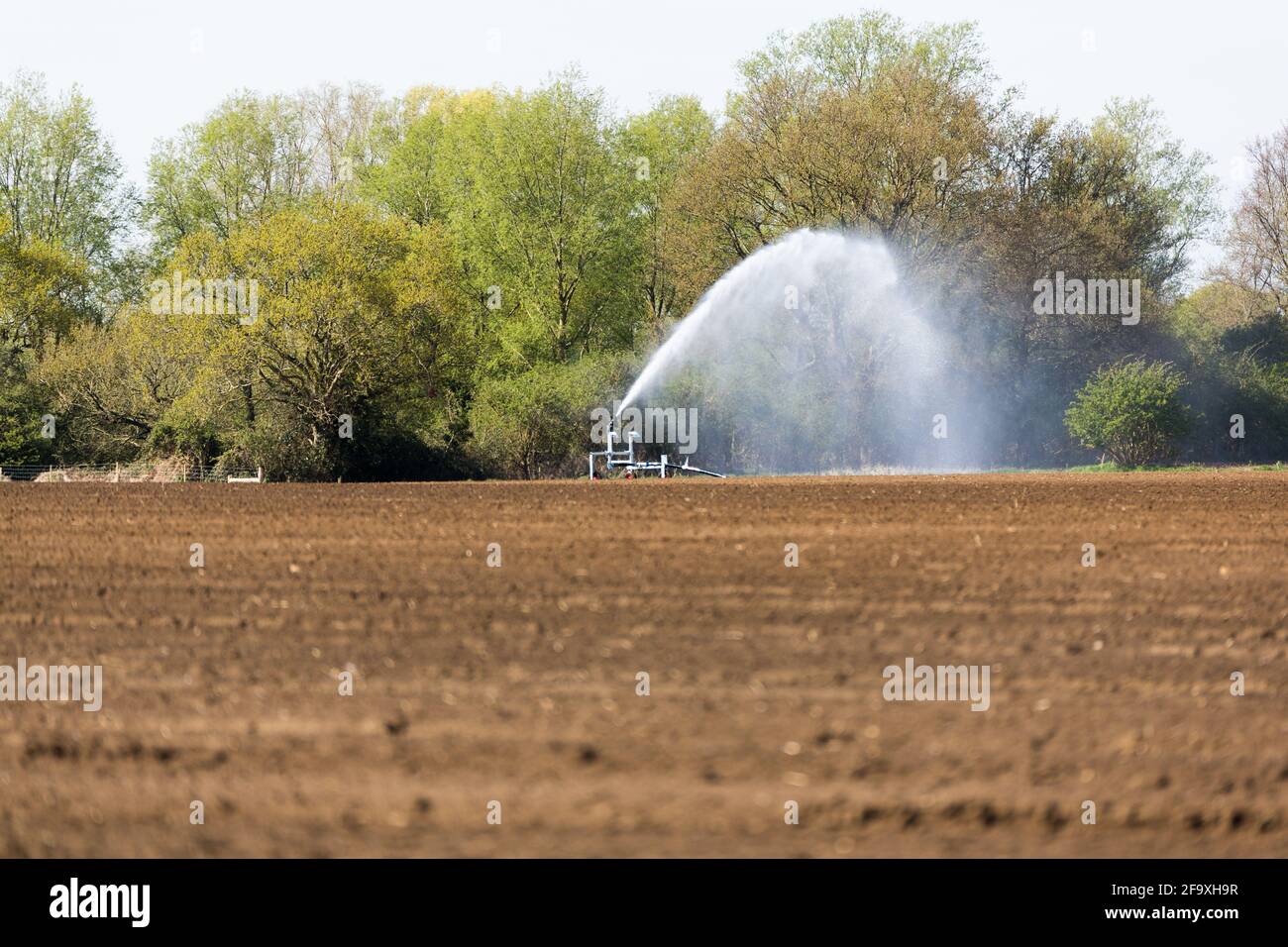 Bewässerung eines landwirtschaftlichen Feldes während der Corona-Pandemie. Landwirte arbeiten hart daran, die globalen Lebensmittelversorgungslinien offen zu halten Stockfoto