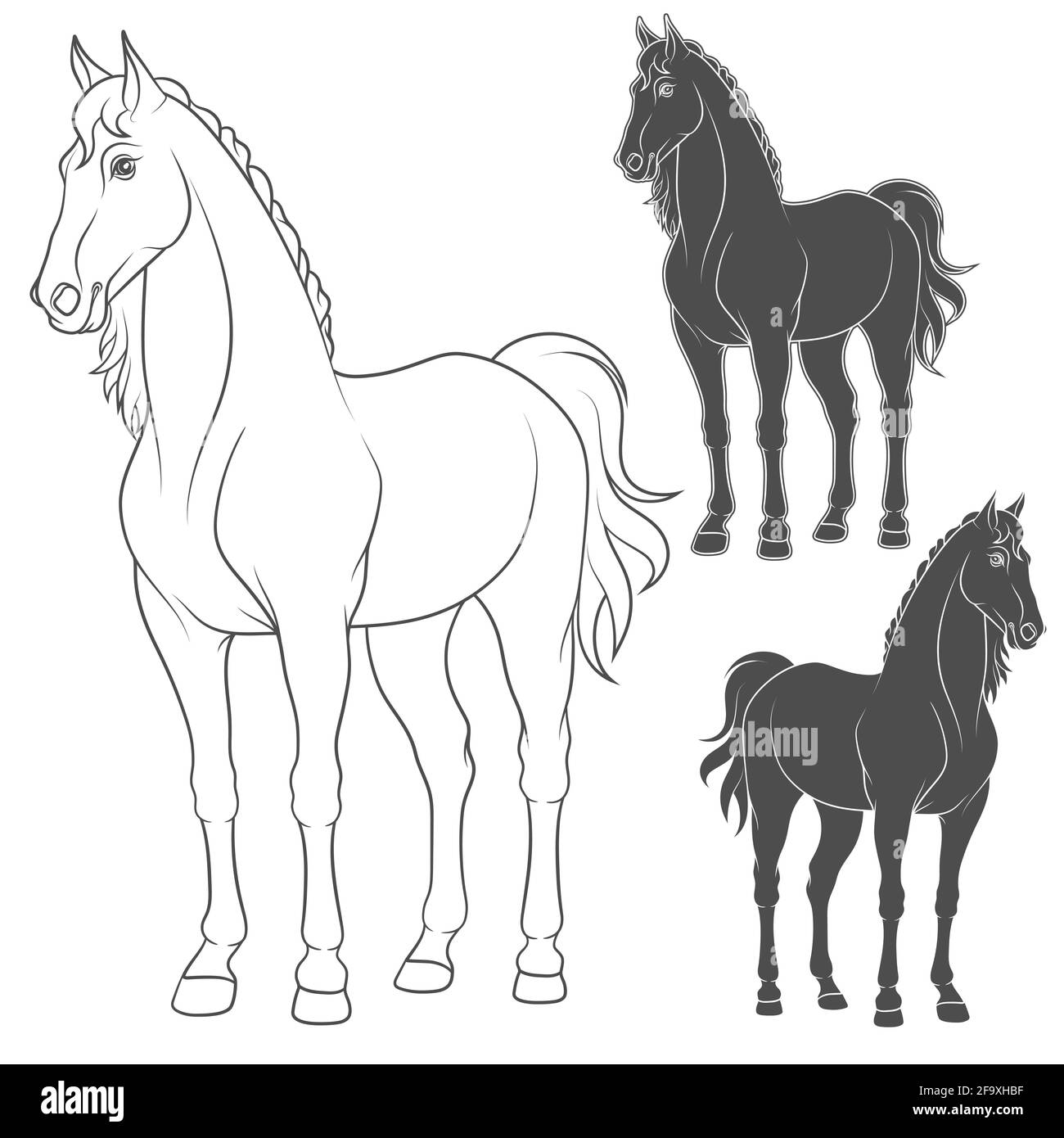 Satz von Vektorgrafiken mit dem Pferd. Isolierte Objekte auf Weiß. Stock Vektor