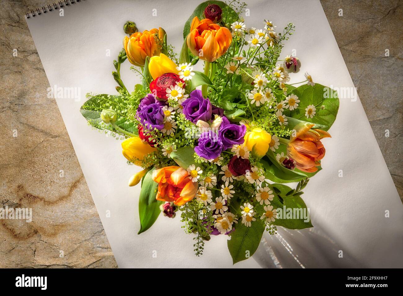 BLUMENKUNST: Blumen des Frühlings Stockfoto