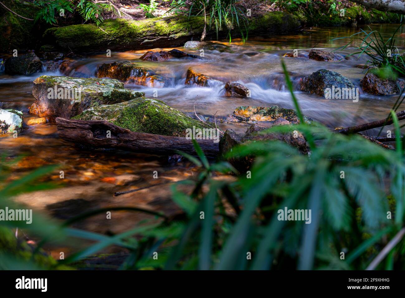 Kleiner steiniger Dampf fließt durch den Gibraltar Range National Park, NSW Australien. Stockfoto