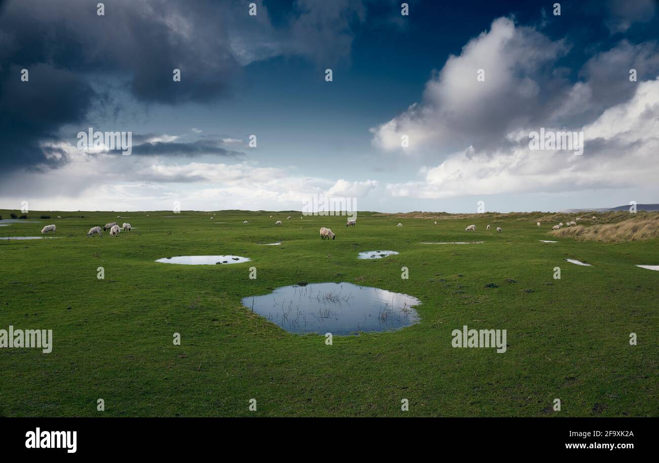 Dramatische Wolken am Himmel gegen eine kleine Wasserpfütze nach einem Wetterregen, nach Westen Ho! Burrows, Devon, Großbritannien Stockfoto