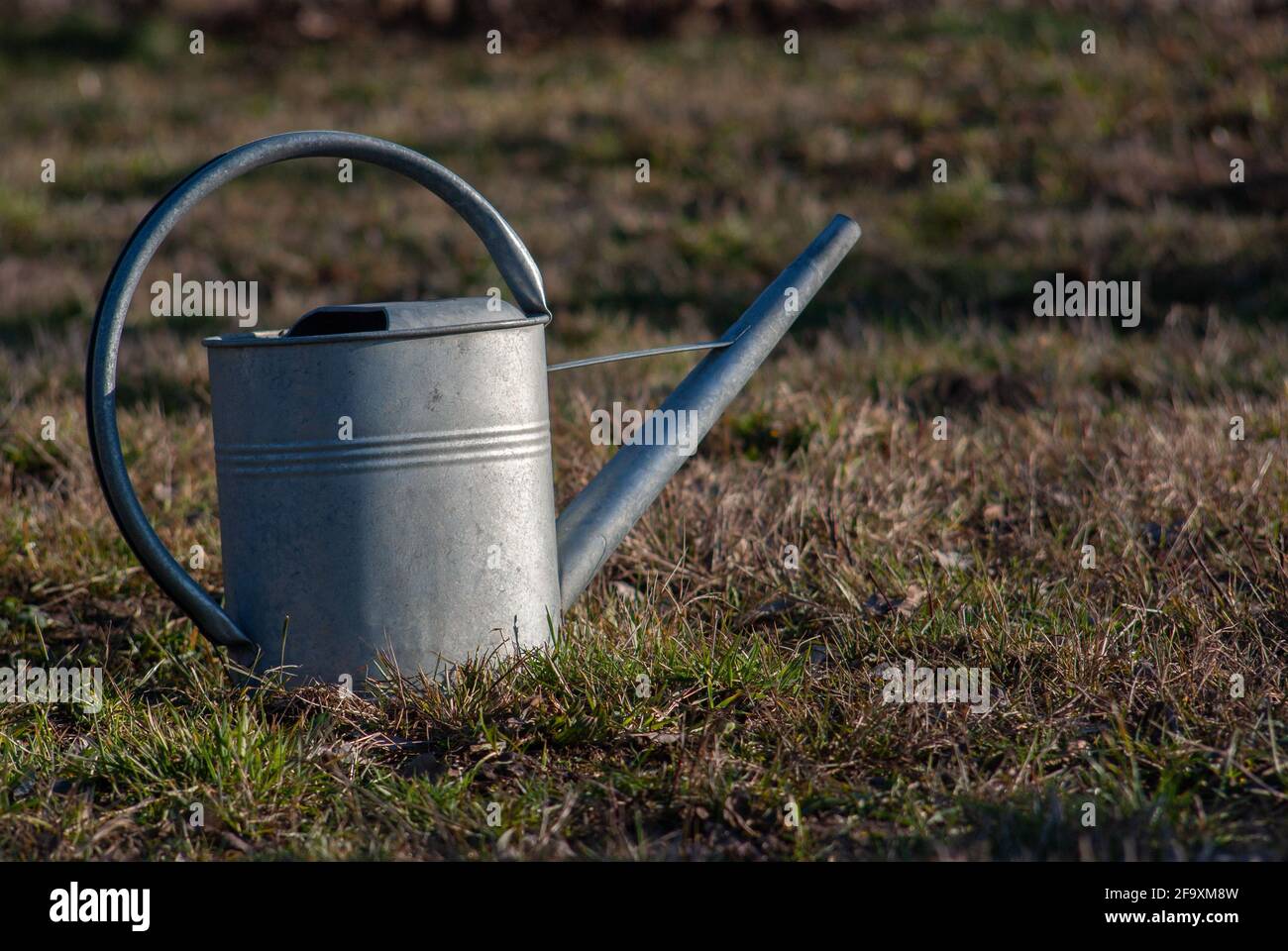 Zink Gießkanne auf trockenem Rasen. Konzept von Trockenheit und Wassermangel Stockfoto