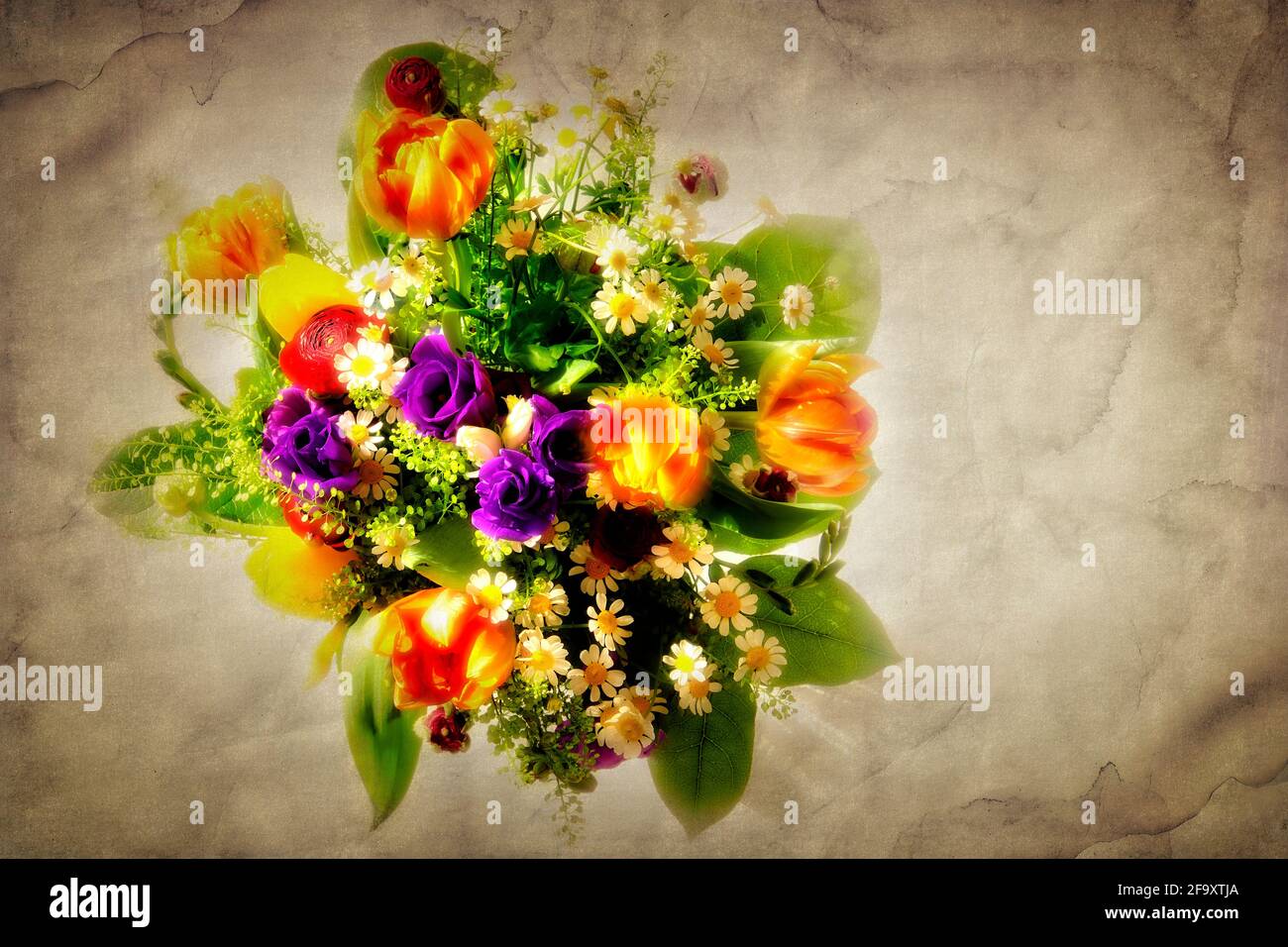 BLUMENKUNST: Blumen des Frühlings Stockfoto