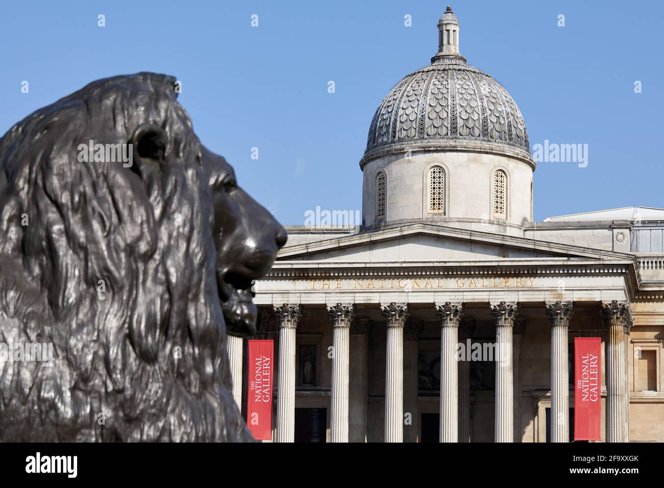 London, Großbritannien - 20. Apr 2021: Fassade des National Gallery Art Museums auf dem Trafalgar Square, abgebildet hinter einem der Bronzelöwen, aus denen die Gegend besteht. Stockfoto