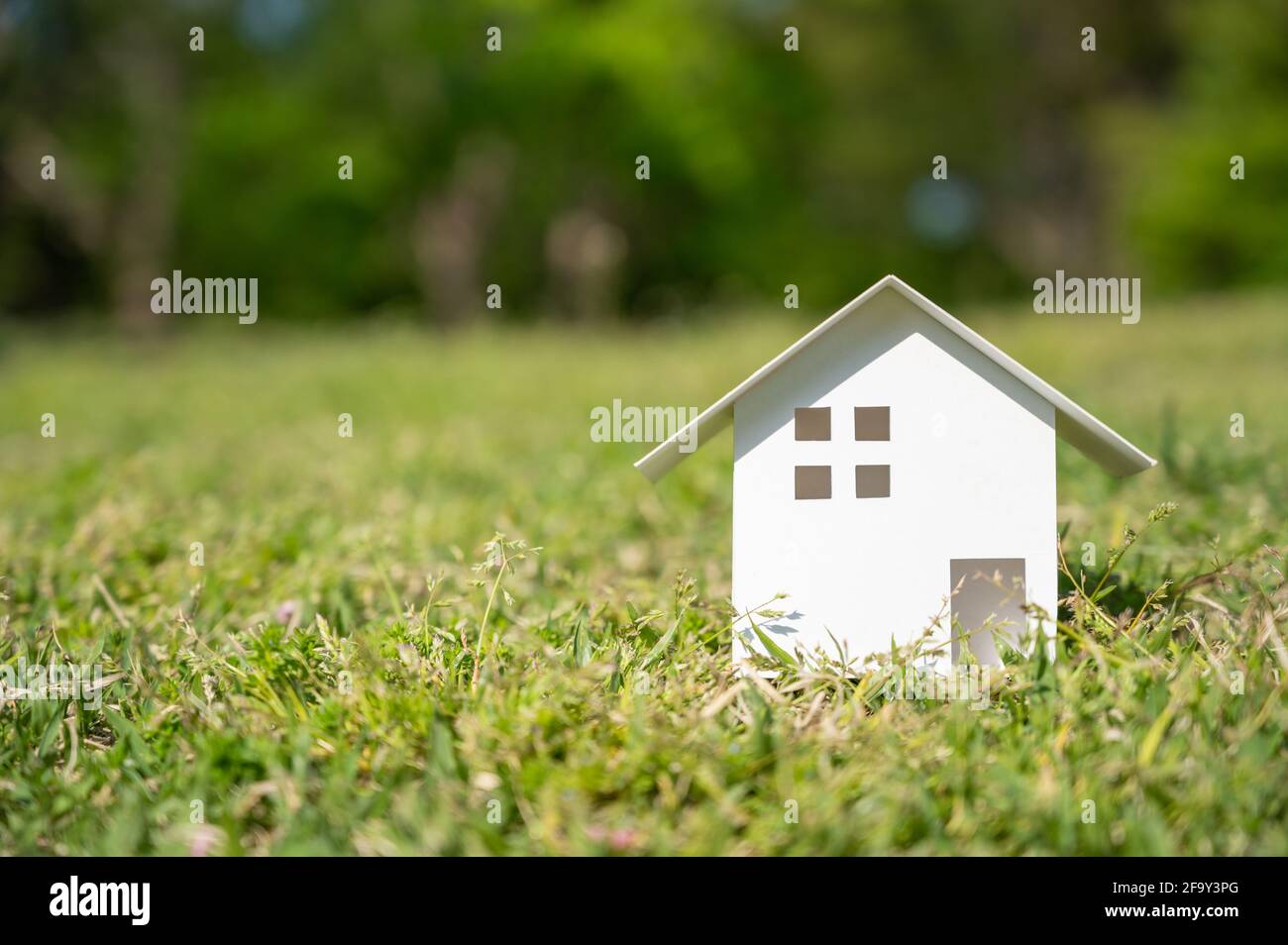 Weißes Papierhaus auf dem Rasen mit Kopierplatz auf der linken Seite. Stockfoto