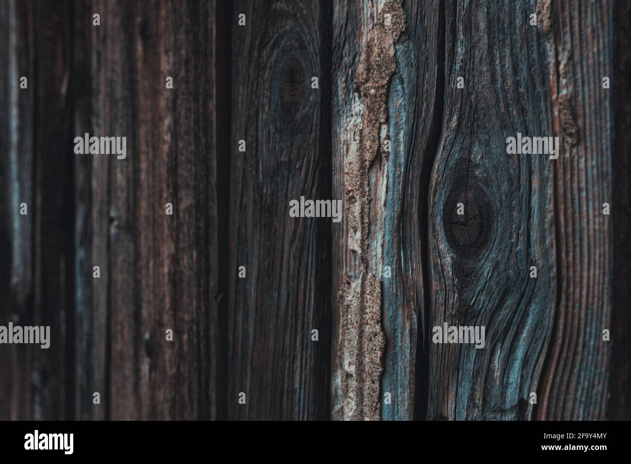 Holzknoten auf abgenutzter Holzplanke, selektiver Fokus mit verschwommenem Teil als Hintergrund für den Kopierraum Stockfoto