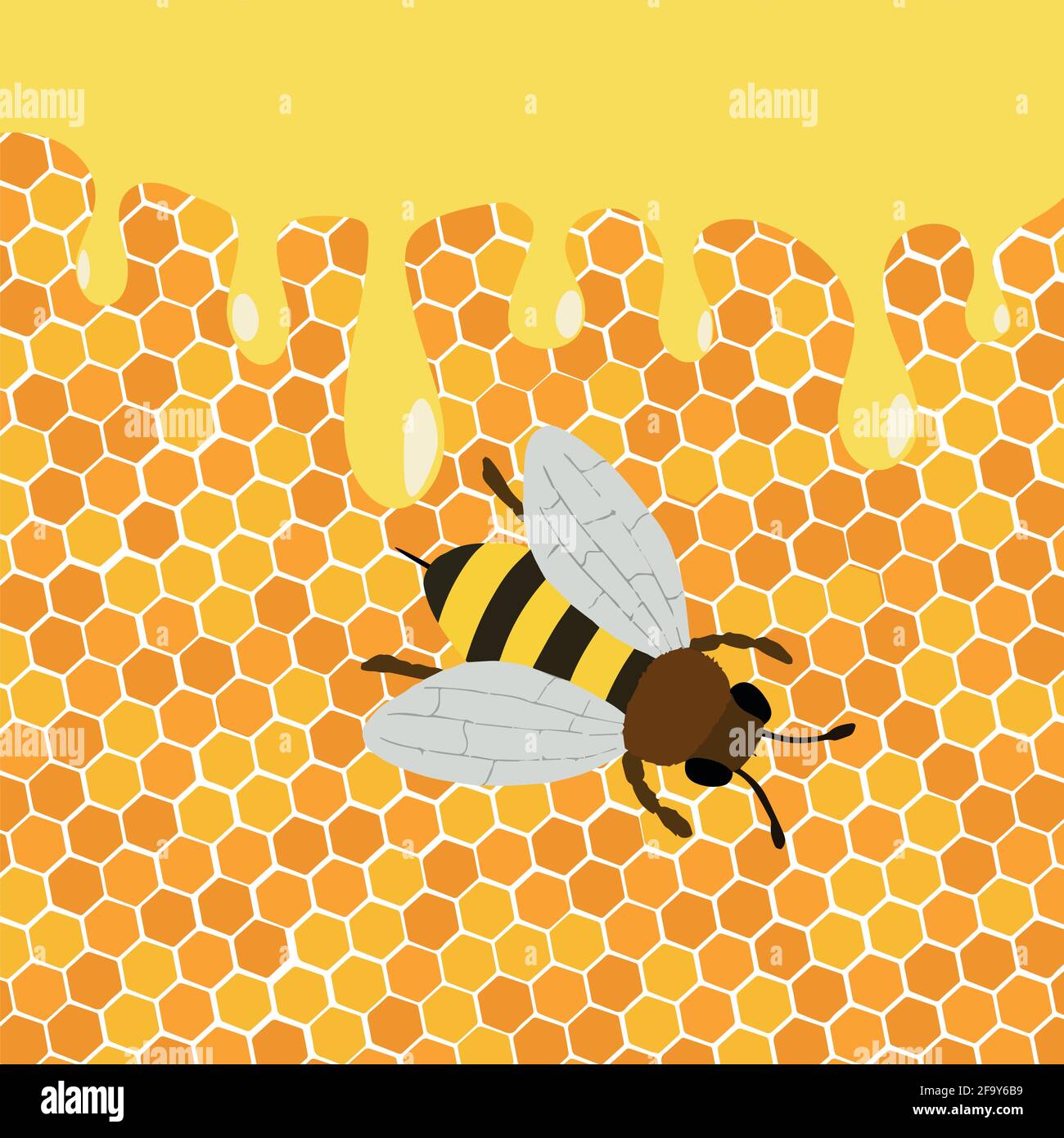 Honig splash Tropfen süßen Tropfen aus Biene Wabe Plakat für die imkerei Honig shop oder Bäckerei. Stock Vektor