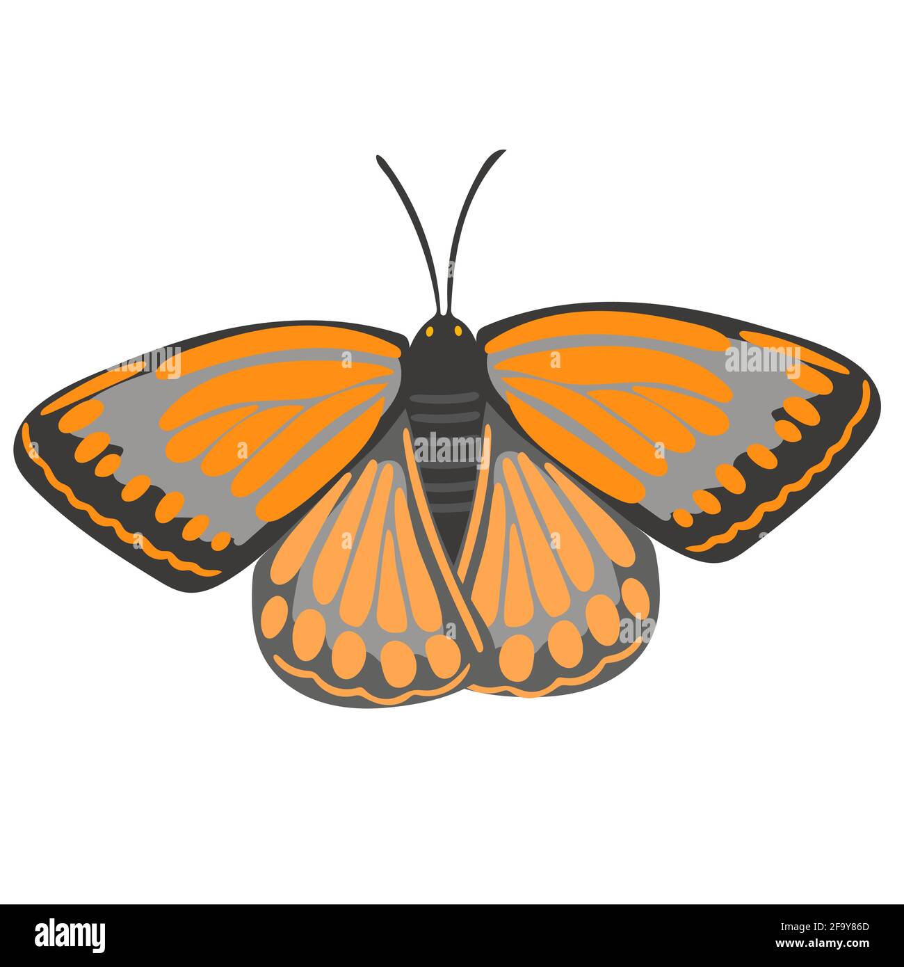 Schöne orange Schmetterling Nahaufnahme. Ein Insekt mit bunten Flügeln.Vektor. Stock Vektor
