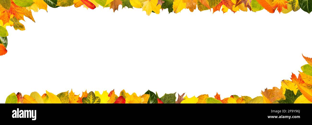 Farbenfrohe Herbstblätter als Rahmen für Panorama-Header-Banner Stockfoto