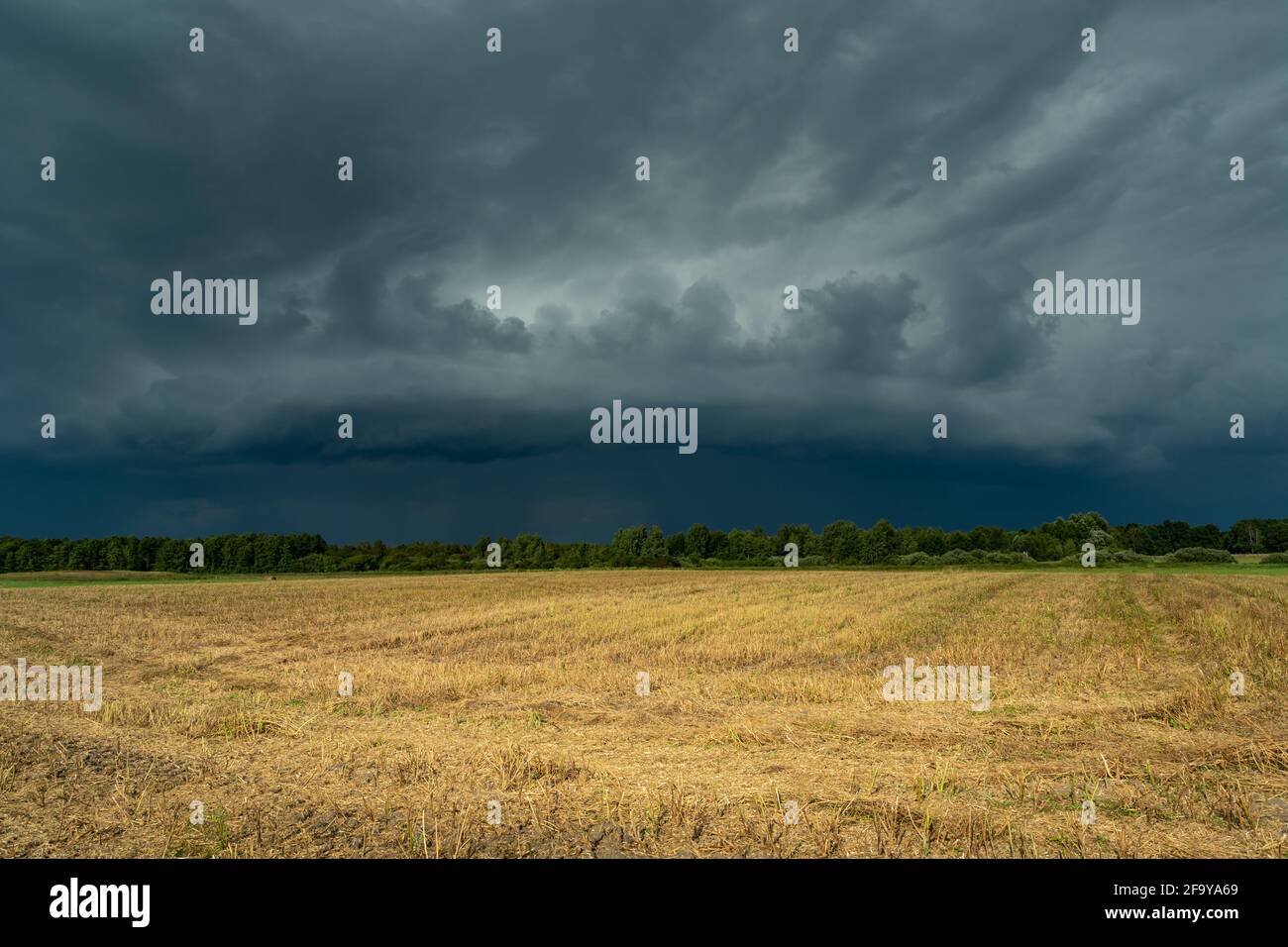 Sturm supercell in grauem Himmel über landwirtschaftlichen Feldern, Czulczyce, Lubelskie, Polen Stockfoto