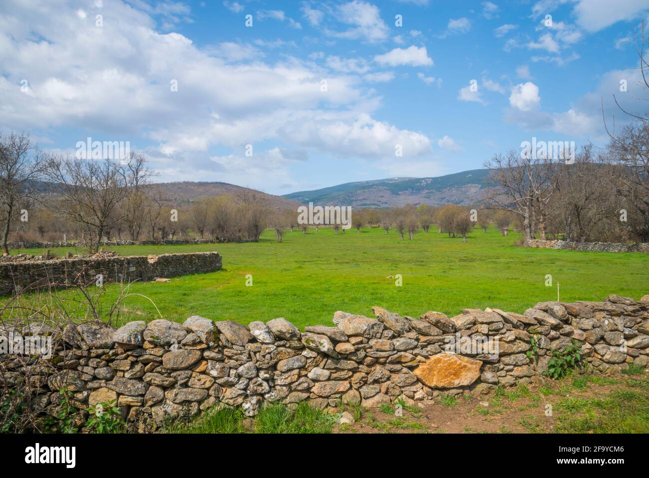 Landschaft. Pinilla de Buitrago, Provinz Madrid, Spanien. Stockfoto