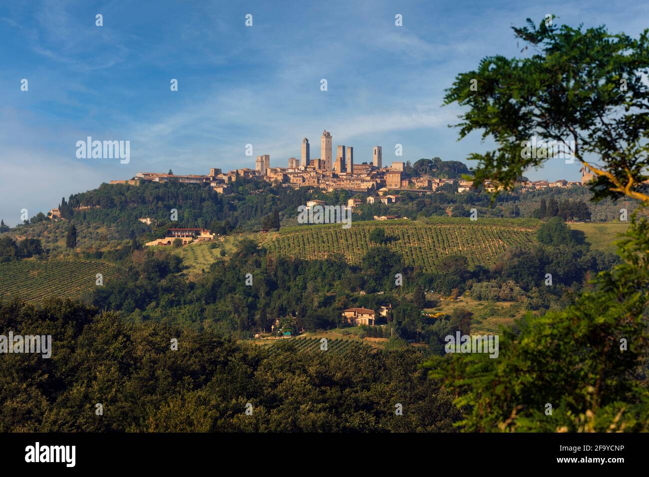 San Gimignano, Provinz Siena, Toskana, Italien. Weinberge rund um die Stadt, die für ihre Türme berühmt ist. Das historische Zentrum von San Gimignano ist ein UNESC Stockfoto
