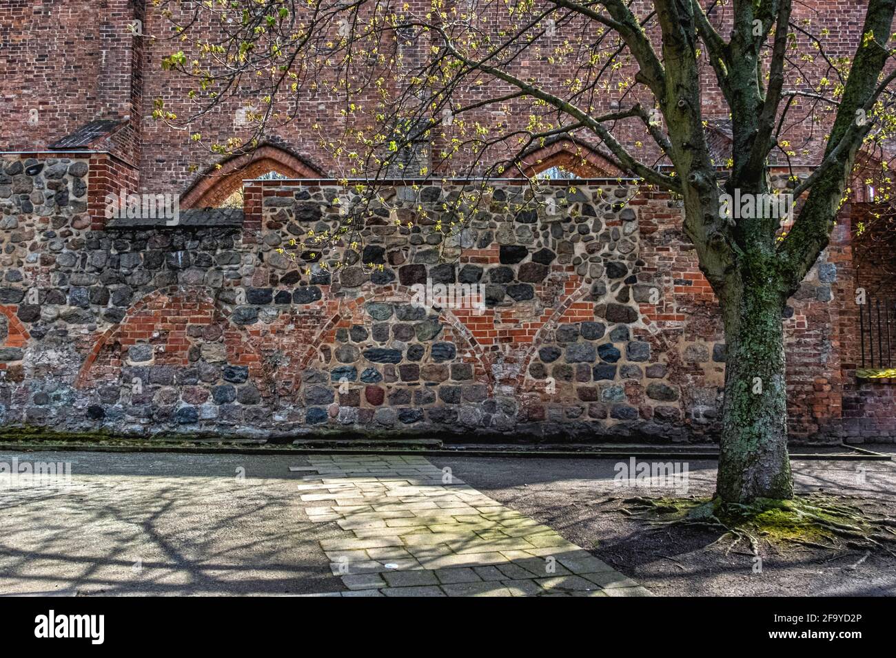Berliner Franziskanerkloster, Franziskaner-Klosterkirche. Steinmauer mit Ruinen eines mittelalterlichen Klosters in der Altstadt, Mitte-Berlin, Deutschland Stockfoto