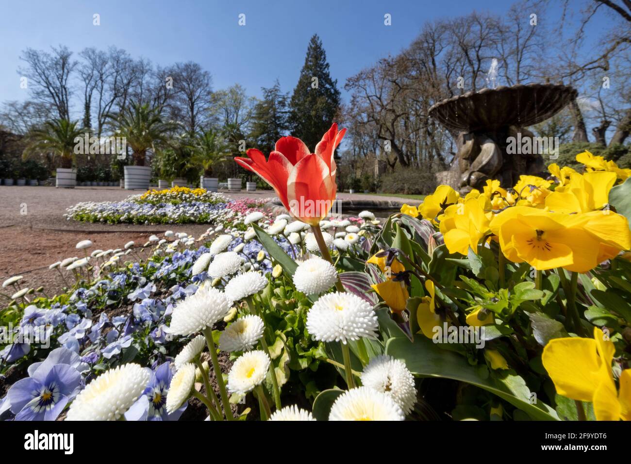 In Weimar Stockfotos und -bilder Kaufen - Seite 7 - Alamy