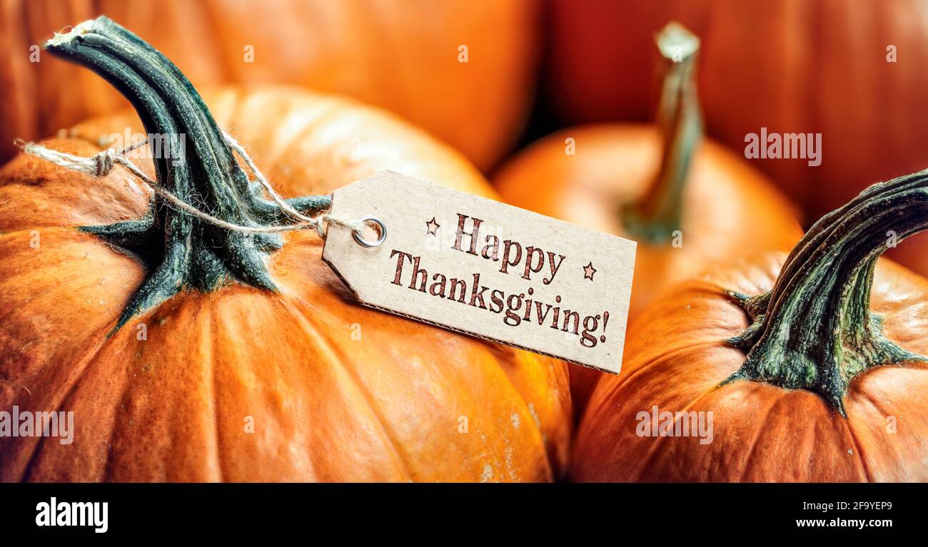 Happy Thanksgiving Tag Kurbisse Und Herbst Wohnkultur Mit Rustikalen Holz Hintergrund Stockfotografie Alamy