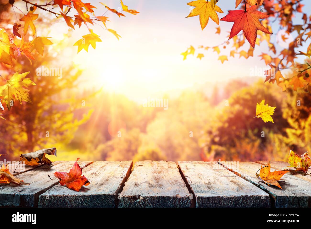 Herbsttisch Mit Roten Und Gelben Blättern Und Waldhintergrund Stockfoto