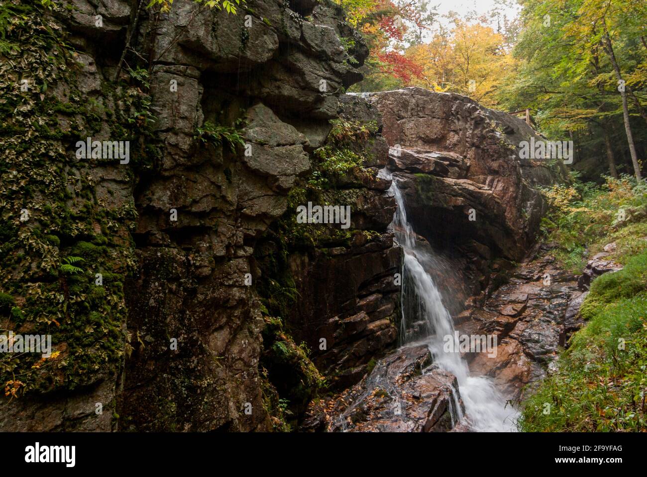 Ein Wasserfall in der Flume Gorge im Franconia Notch State Park, New Hampshire, USA. Stockfoto