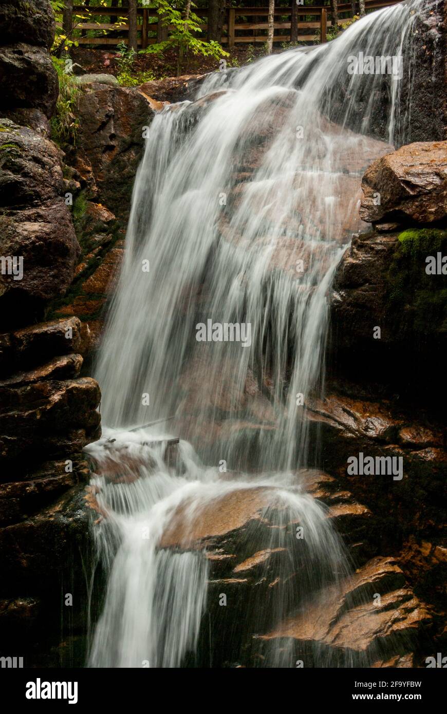 Ein Wasserfall in der Flume Gorge im Franconia Notch State Park, New Hampshire, USA. Stockfoto