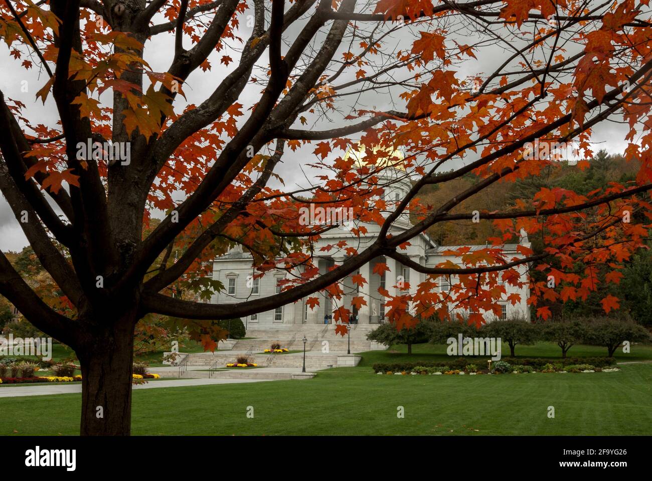 Das State House in Montpelier, Vermont, USA, durch Herbstlaub gesehen. Stockfoto