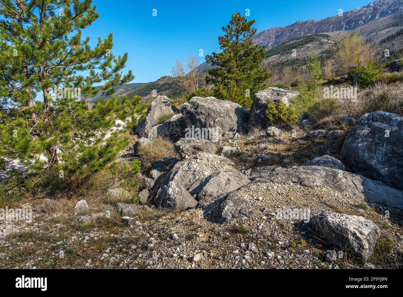 Bergpanorama mit schwarzen Kiefern, Büschen und Felsbrocken im Vordergrund. Nationalpark Maiella, Abruzzen, Italien, Europa Stockfoto