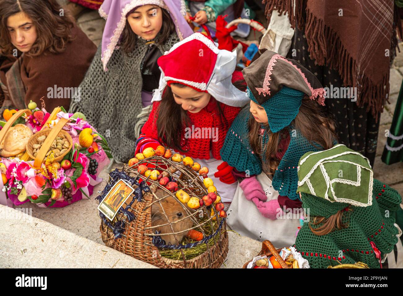 Folklore der Abruzzen. Kleine Mädchen in traditioneller Kleidung spielen mit den gesegneten Tieren anlässlich des Festes von Sant'Antonio Abate. Stockfoto