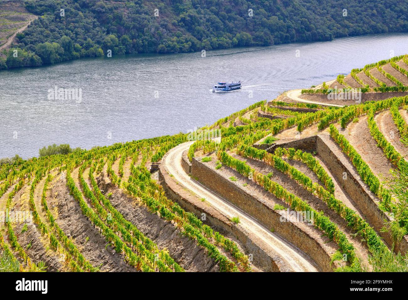 Ein Douro-Flussschiff, das entlang der terrassenförmig angelegten Weinberge von Chanceleiros, Pinhao, fährt. Ein UNESCO-Weltkulturerbe, Portugal Stockfoto