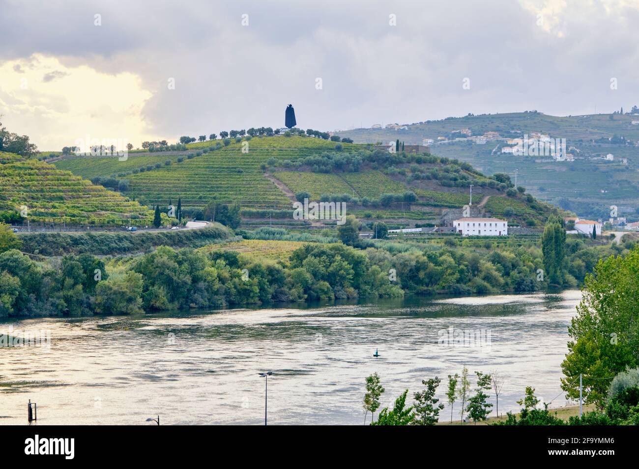 Der Douro-Fluss bei Peso da Regua. Alto Douro, ein UNESCO-Weltkulturerbe. Portugal Stockfoto