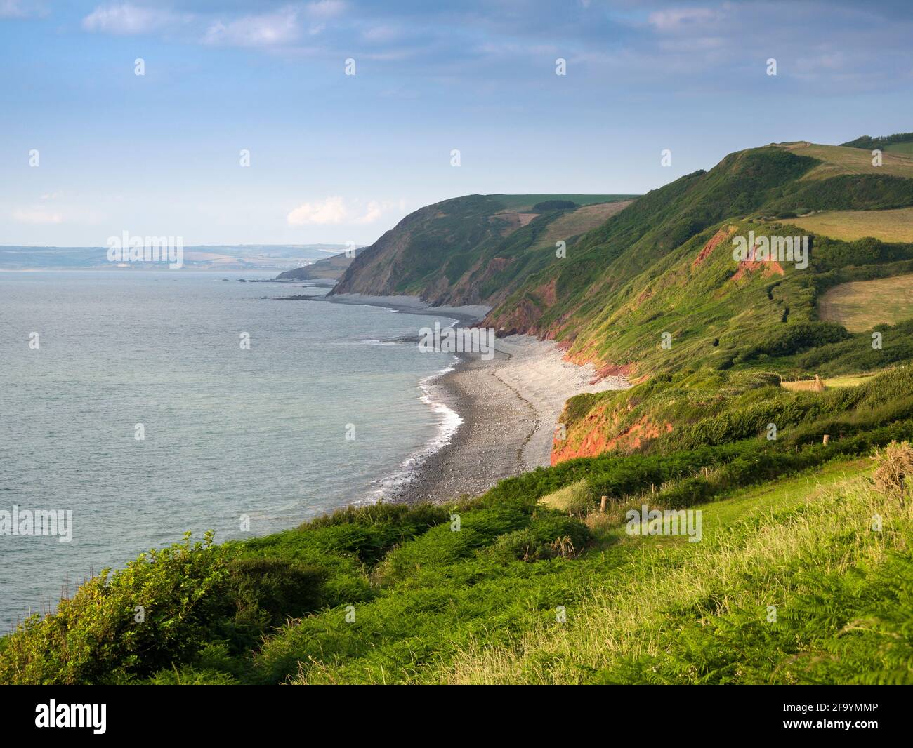 Peppercombe Beach und Babbacombe Cliff vom South West Coast Path an der North Devon Coast, England. Stockfoto