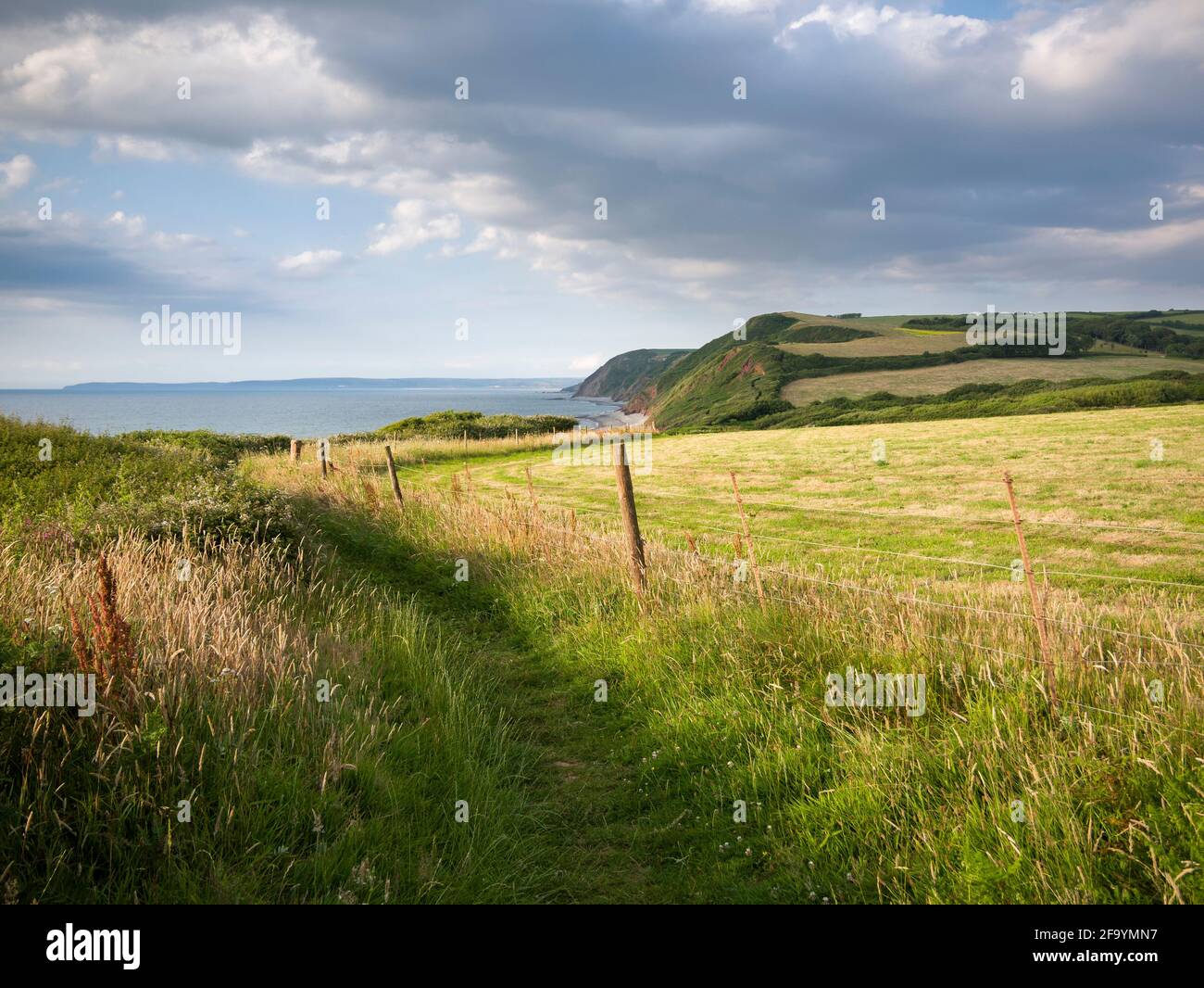 Der South West Coast Path im Gebiet von North Devon an der Outstanding Natural Beauty Coast in Peppercombe, England. Stockfoto