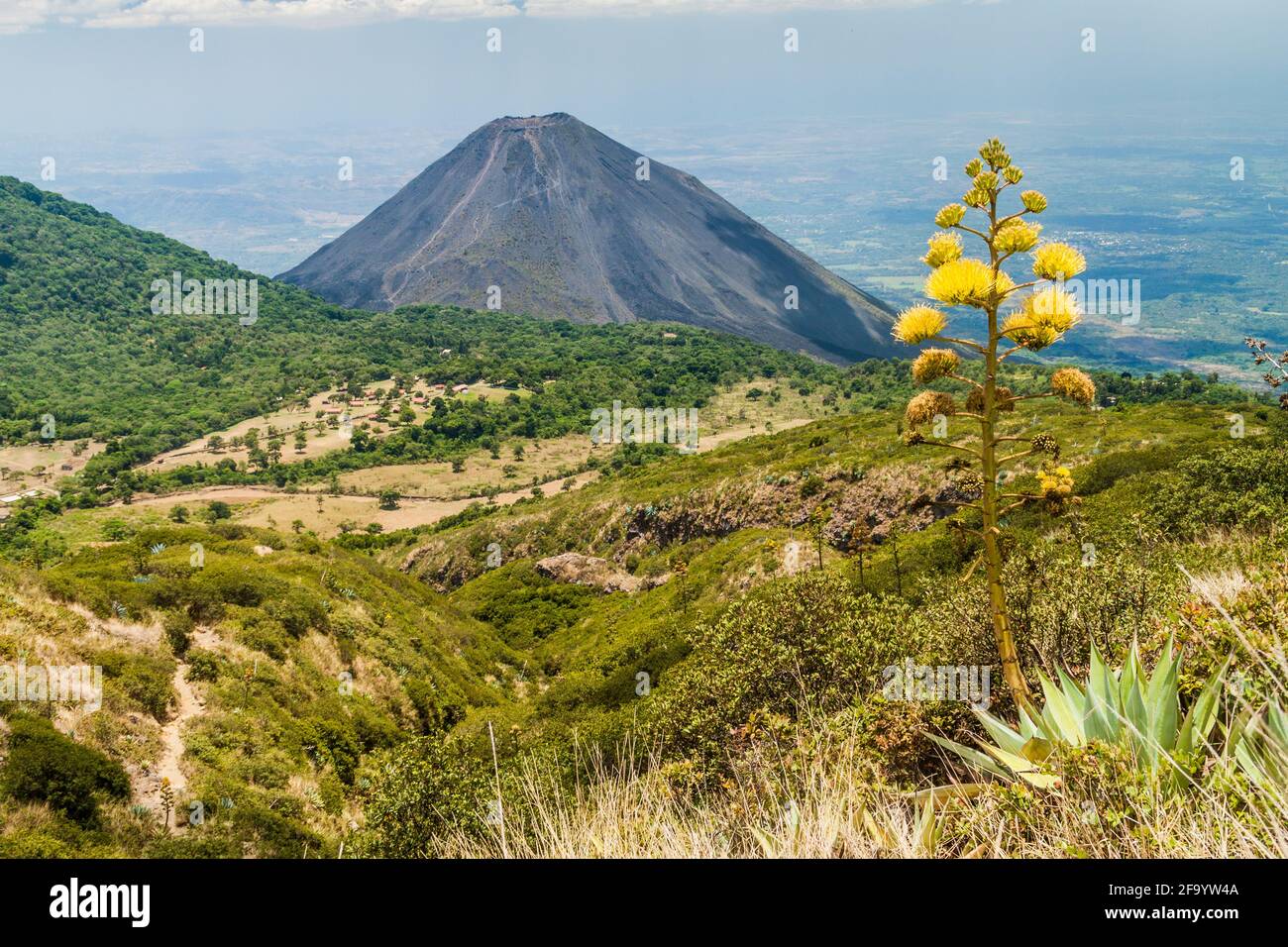 Vulkan Izalco, El Salvador Stockfoto