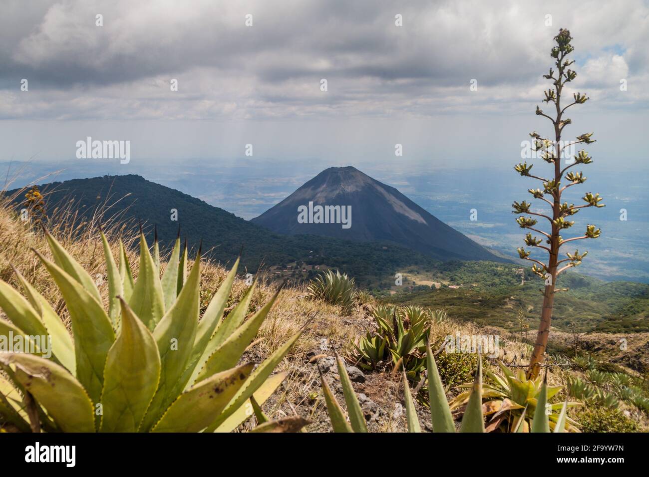 Vulkan Izalco, El Salvador Stockfoto