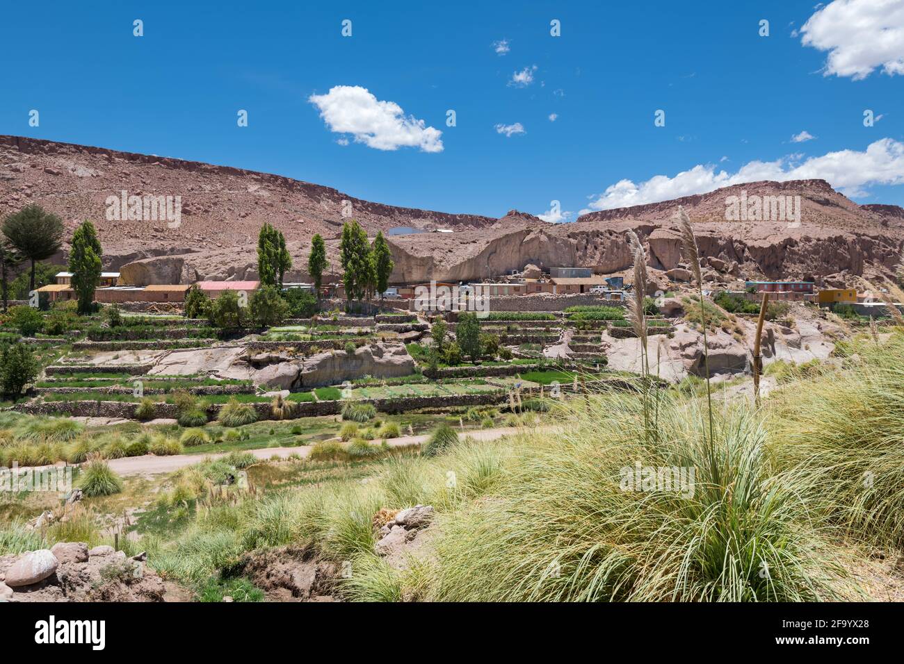Blick auf Caspana, ein kleines Dorf in einer Oase in der Atacama Wüste im Norden Chiles. Stockfoto