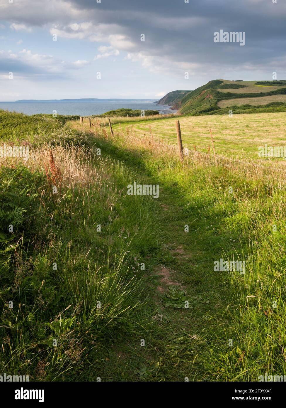 Der South West Coast Path an der North Devon Coast National Landscape Coast in Peppercombe, England. Stockfoto
