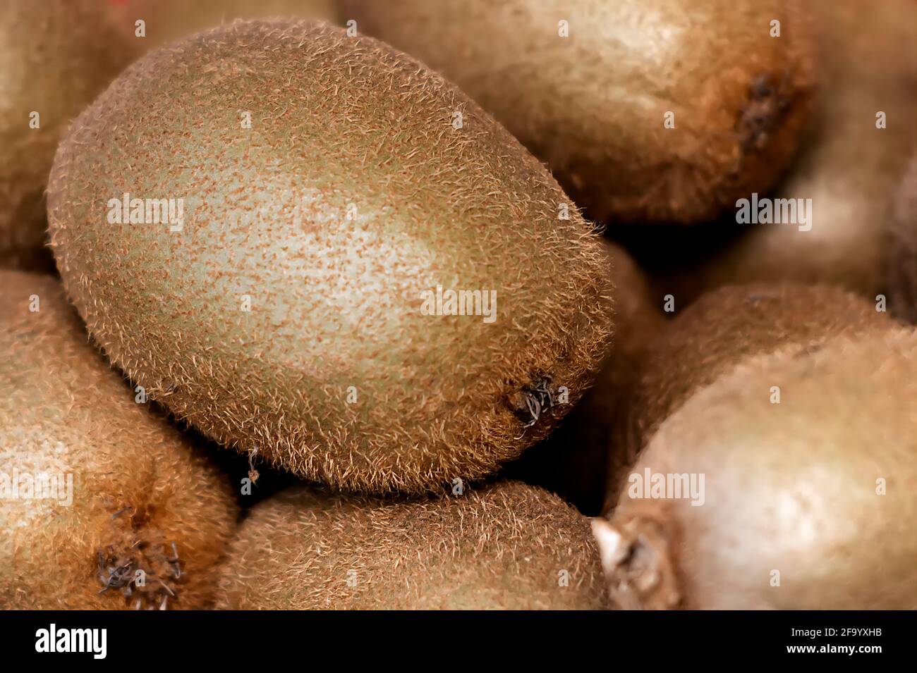 Nahaufnahme einer Kiwifruit-Gruppe mit behaarter Haut. Stockfoto