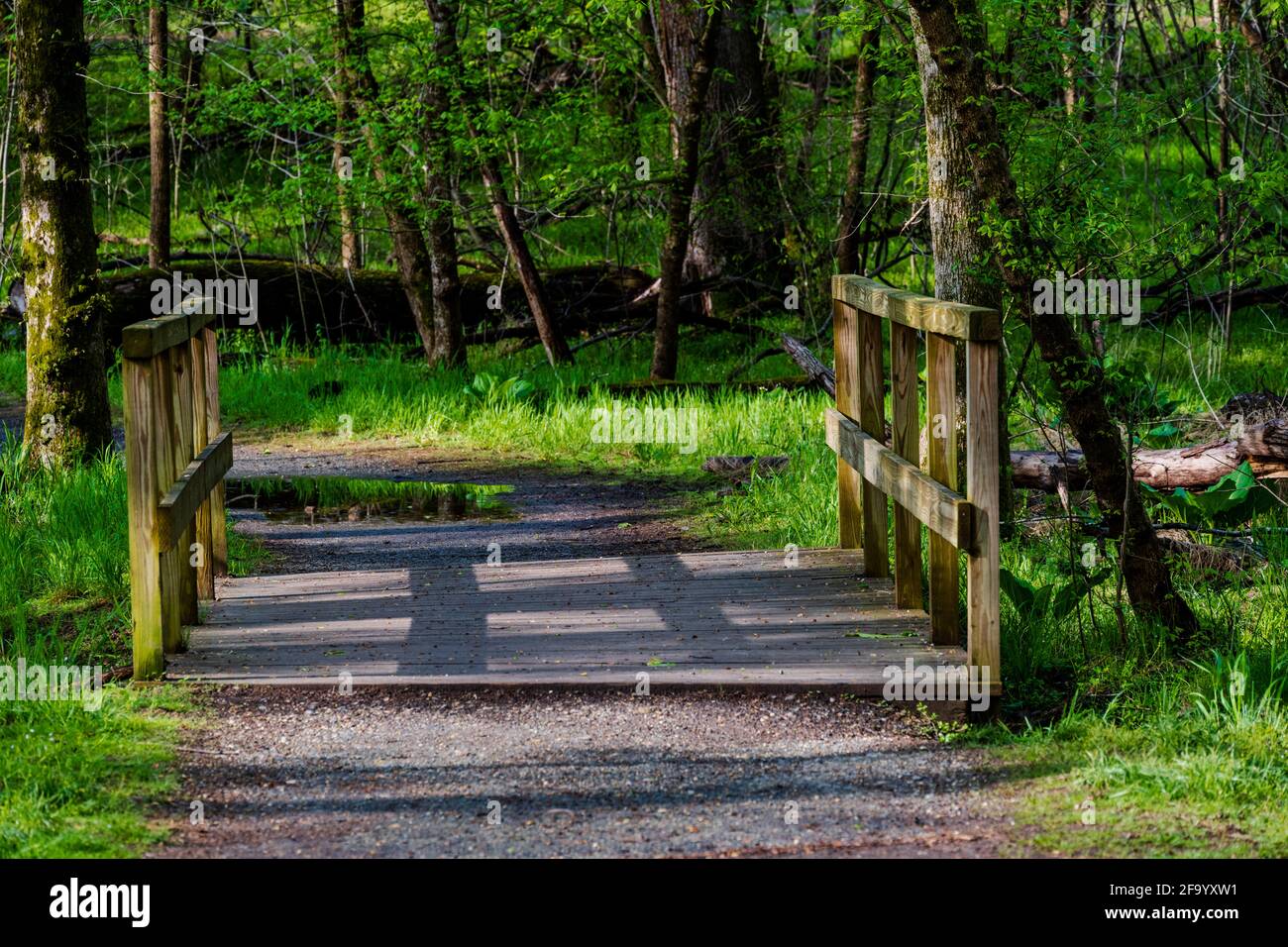 Foto einer Holzbrücke auf einem Wanderweg im Great Falls National Park. Stockfoto