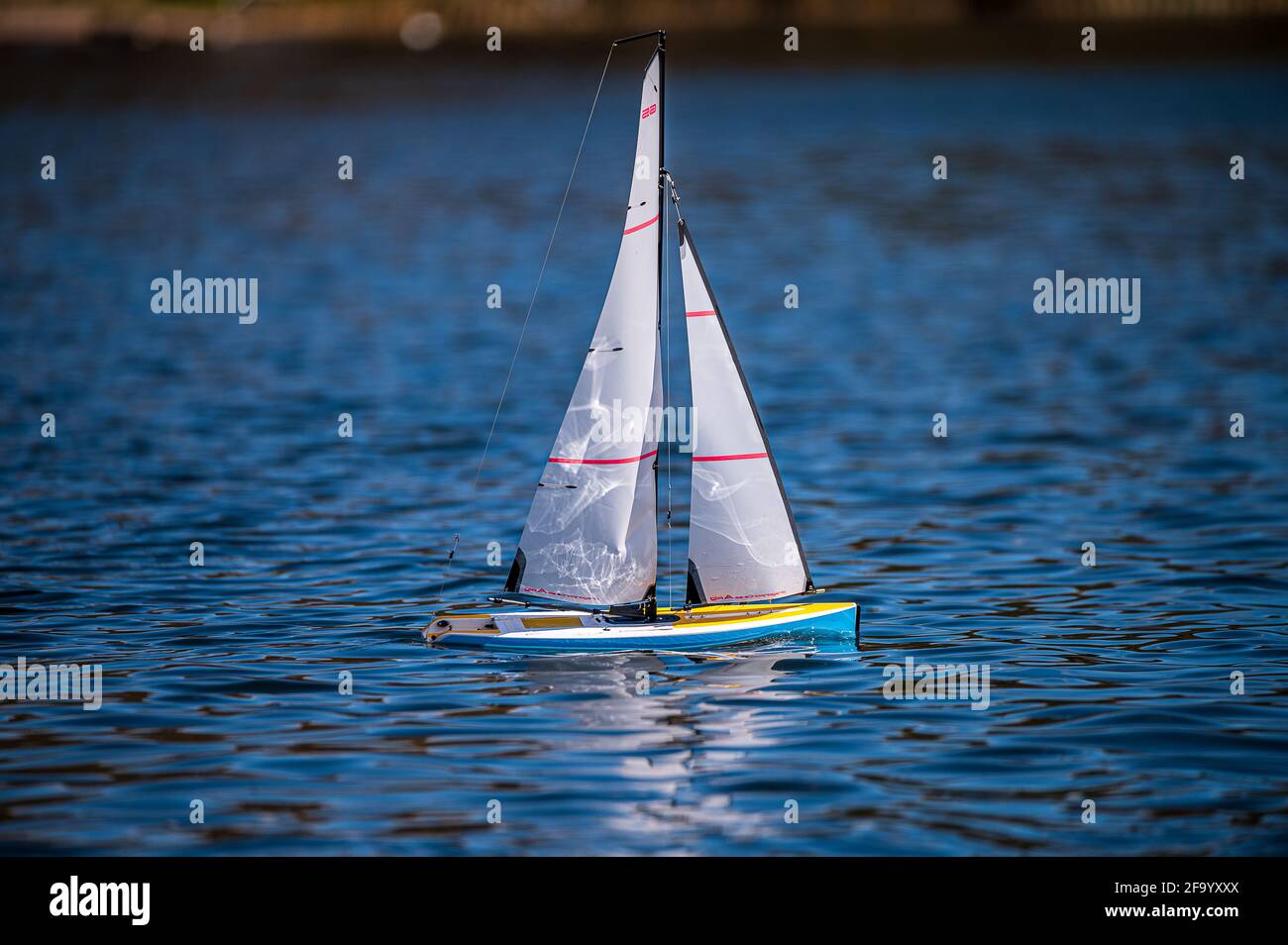 Blick auf einen Spaziergang um den Talkin Tarn Country Park Stockfoto