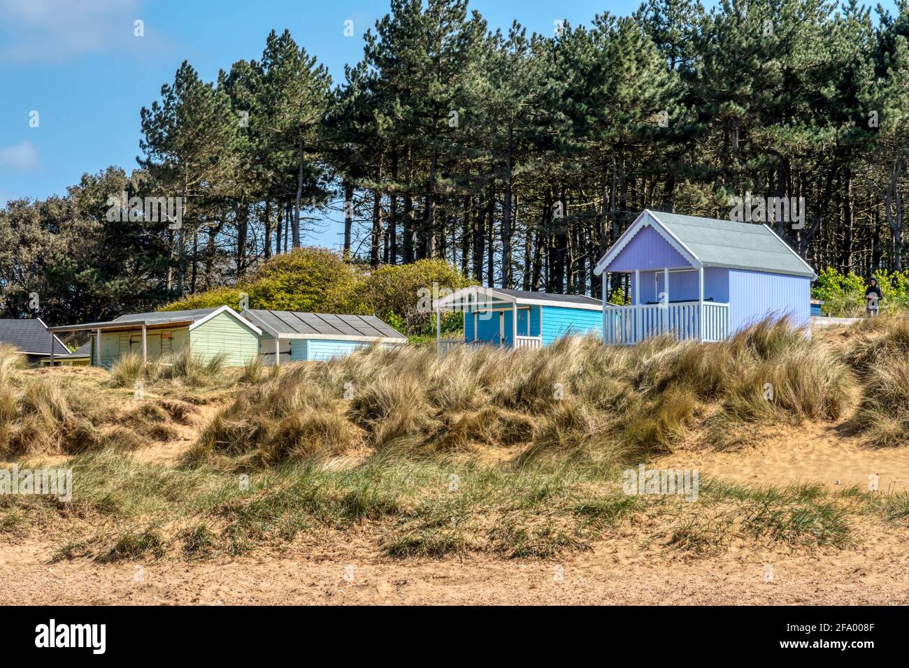 Strandhütten zwischen Dünen und Pinien am alten Hunstanton-Strand in North Norfolk. Stockfoto