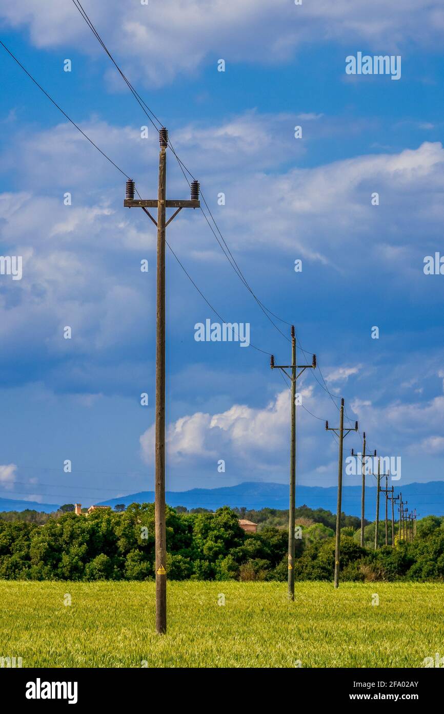 Alte elektrische Holzstangen auf dem Feld Stockfoto