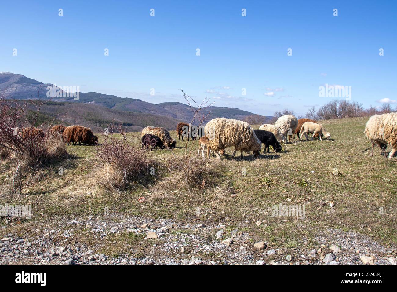 Luftaufnahme des Berges Konyavska, Kyustendil Region, Bulgarien Stockfoto