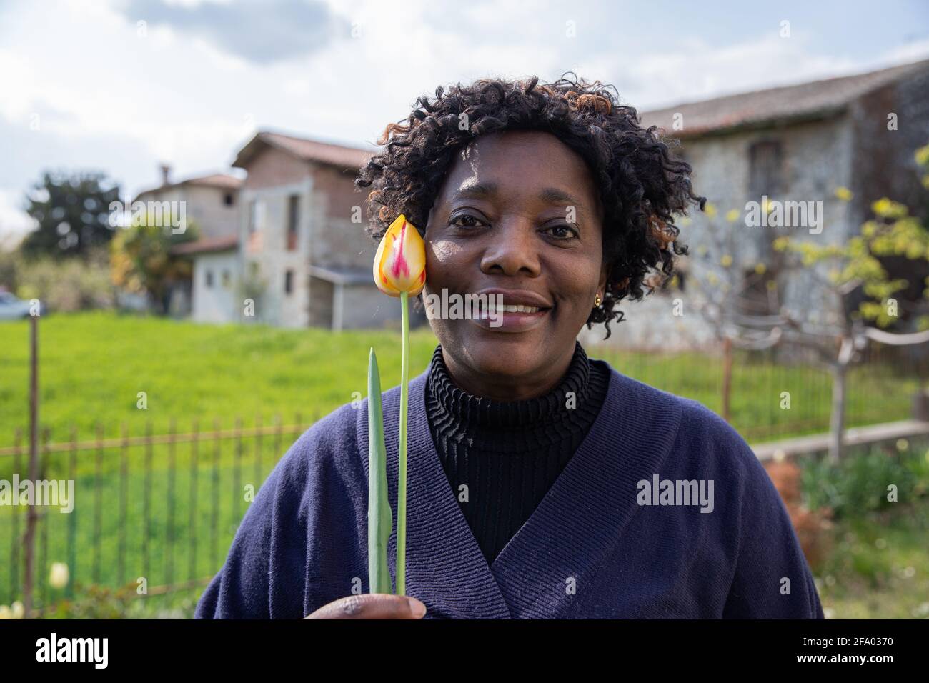 Porträt einer schönen afroamerikanischen Frau mittleren Alters, die lächelt Und hielt eine gelbe Tulpe nahe an ihre Wange Stockfoto