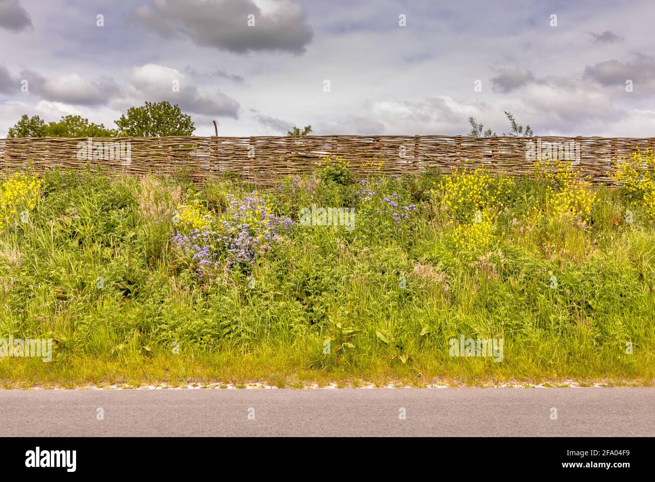 Ökologische Schallmauer Erdwand mit Weidenzaun von Weidenzweigen. Blumen und Bäume wachsen auf dem Deich mit Vegetation. Niederlande. Stockfoto