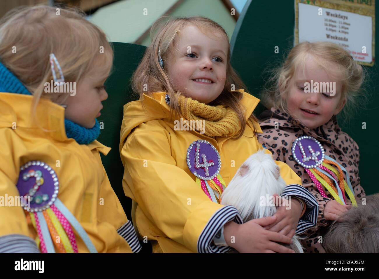 Tierstreicheln auf dem Bauernhof, Großbritannien Stockfoto