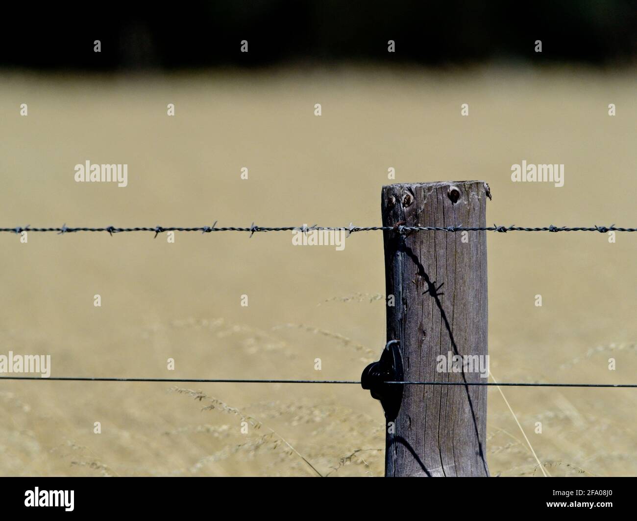 Elektrischer Zaun auf dem Bauernhof in Clayton, Südaustralien. Stockfoto