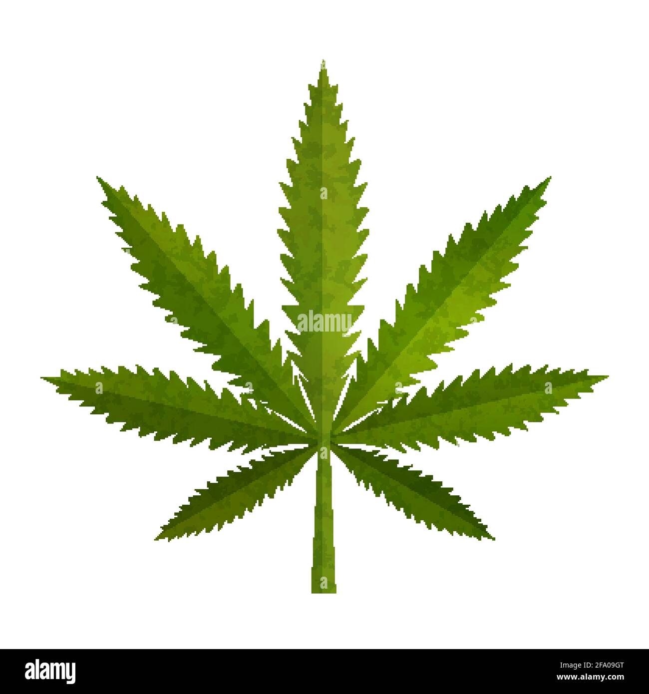 Grünes realistisches Marihuana-Blatt, medizinisches Cannabis detailliertes Symbol auf weißem Hintergrund Stock Vektor