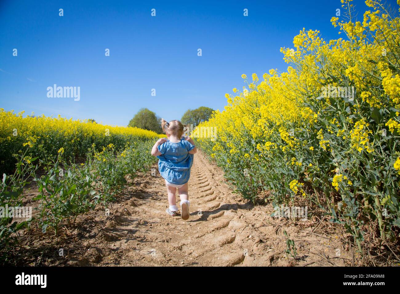 Kinder, die in einem Vergewaltigungsfeld spielen, Frankreich Stockfoto