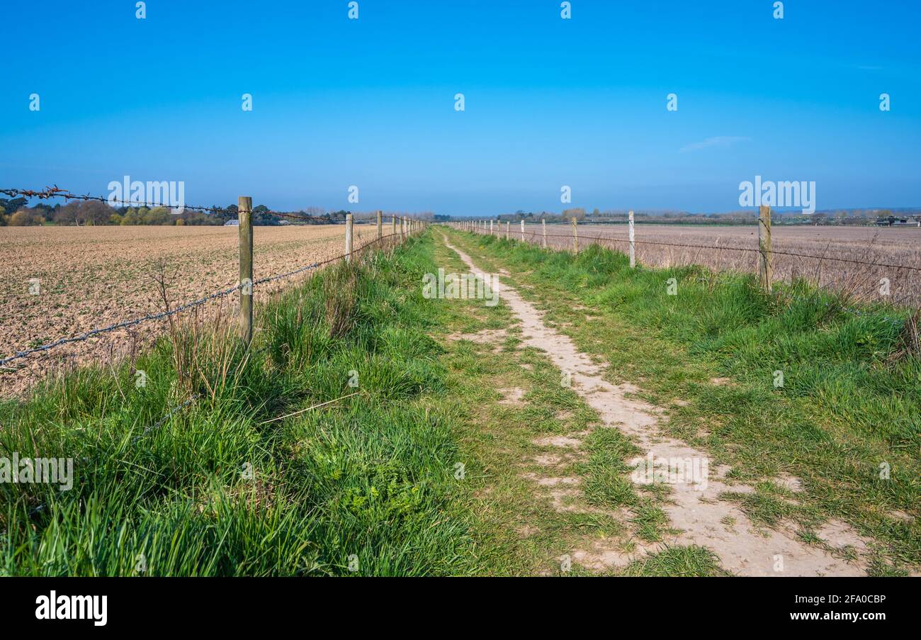 Wanderweg auf dem Land zwischen Feldern mit Stacheldraht-Grenzzaun in West Sussex, England, Großbritannien. Stockfoto